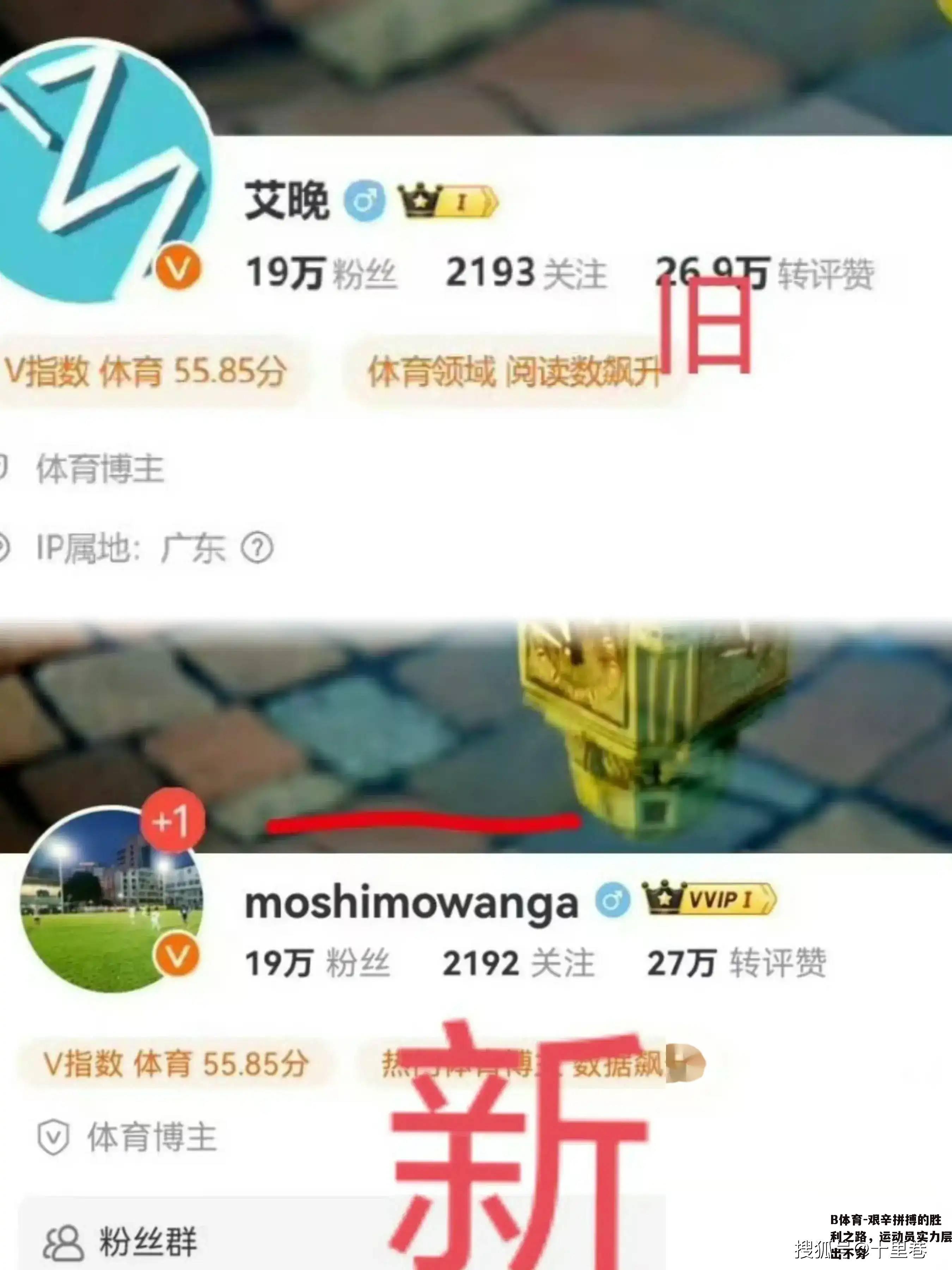 艰辛拼搏的胜利之路，运动员实力层出不穷